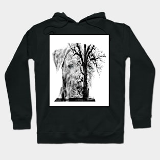 Hunting Dog Hoodie